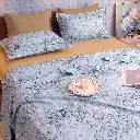 Gemini_Generated_Image_si7ukasi7ukasi7u-clean_10000.webp